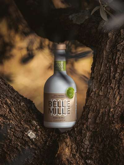 Bottle of Bellemille Extra Virgin Olive Oil sitting in a tree
