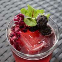 A red cocktail in a rocks glass, garnished with blackberries, purple flowers, and a sprig of microgreens
