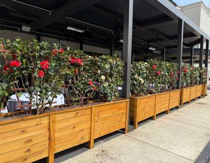 Flower barrier exterior of Patio in Atlanta